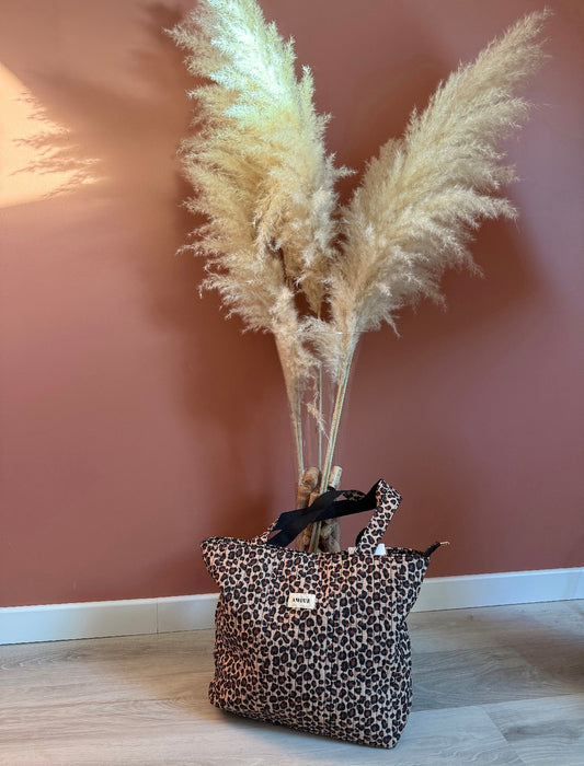 Sac Louis