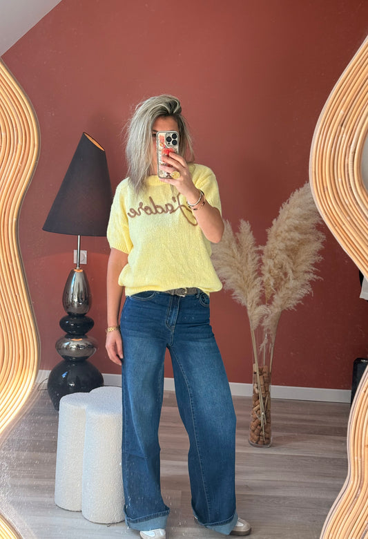 Pull Aelys coupe tee-shirt